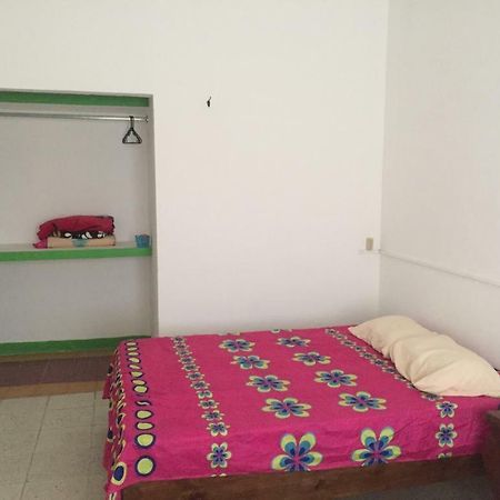Hostal La Concordia 巴耶斯城 外观 照片